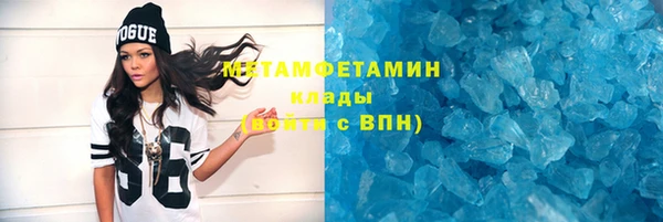 прущие грибы Богородицк