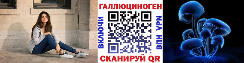 купить  сайты  Улан-Удэ  Псилоцибиновые грибы Cubensis 