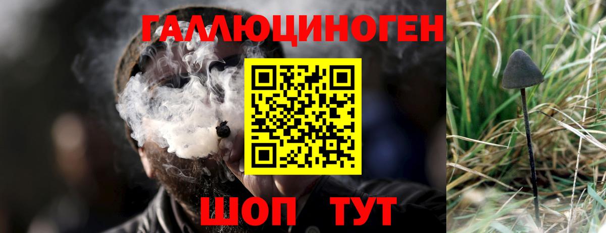Галлюциногенные грибы мухоморы Улан-Удэ